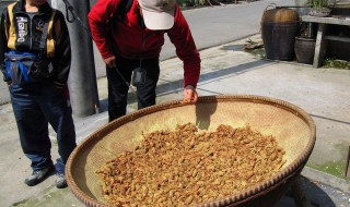 松花酒的制作方法(松花酒多少钱一瓶)