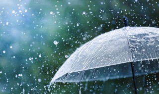 青衫烟雨客似是故人来什么意思 青杉烟雨客似是故人来[玫瑰]