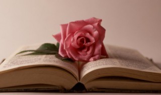 简短一句话的祝福语 简短一句话的祝福语大全