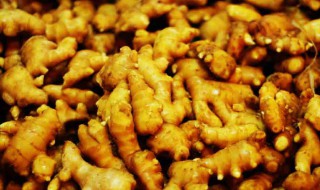 姜种催芽方法 姜种如何催芽