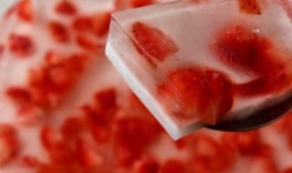 白凉粉做成果冻教程 白凉粉做果冻的教程简图