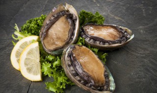 鲍鱼一锅鲜怎么做 鲍鱼怎么个烧法