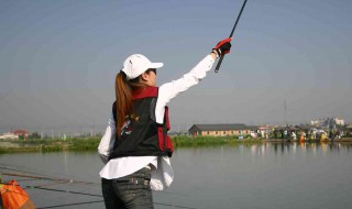 海杆野钓技巧（海竿野钓技巧）