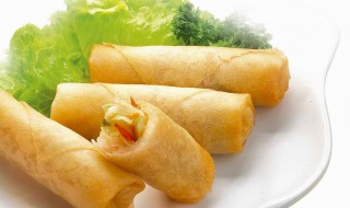 豆皮春卷的做法和配方 豆皮春卷的做法和配方大全