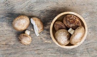 苦瓜炒香菇教程（苦瓜炒香菇教程视频）