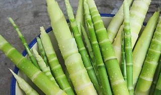 小竹笋干怎么做简单好吃(小竹笋干怎么做好吃法)