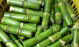 怎么挑选青皮甘蔗 青甘蔗怎么挑选才好吃