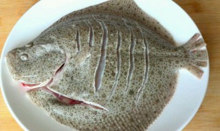 怎么挑选新鲜的多宝鱼（怎么挑选新鲜的多宝鱼视频）