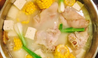 米豆腐炖猪蹄怎么做 米豆腐炖猪蹄怎么做最好吃