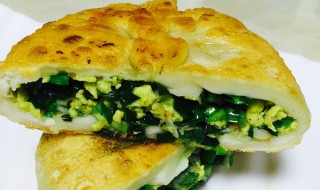 肉粒韭菜鸡蛋馅饼怎么做(肉粒韭菜鸡蛋馅饼怎么做好吃)