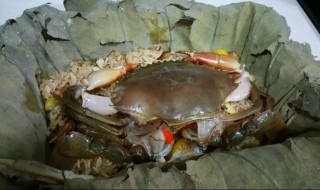 银丝红鲟怎么做 银丝红鲟怎么做才好吃