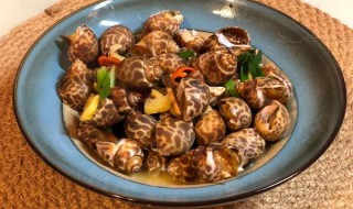 老酒花螺汤怎么做（老酒花螺汤怎么做的）