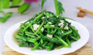 清炒筒篙怎么做 筒篙怎么炒好吃
