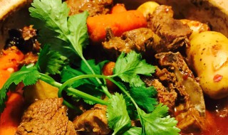 红焖萝卜羊肉怎么做 红焖萝卜羊肉怎么做视频