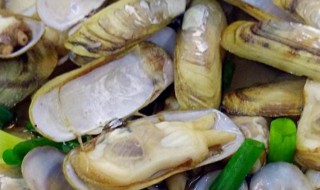 红油拌海蛏怎么做 红油拌海蛏怎么做好吃