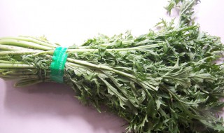 家庭雪菜的腌制方法 请问雪菜怎么腌