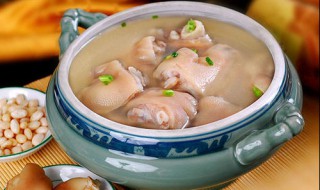 通草炖猪脚怎么做 通草炖猪脚做法