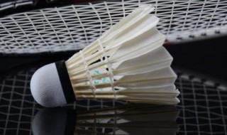 羽毛球快打技巧（羽毛球快打技巧视频）