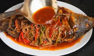 啤酒烧鱼的做法（啤酒烧鱼的做法视频）