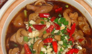 白菜肥肠煲怎么做（白菜肥肠煲做法）