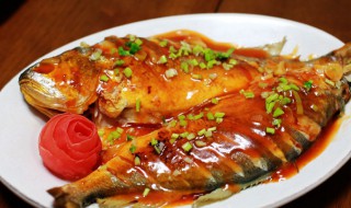 番茄烧青黄鱼怎么做（番茄青鱼做法）