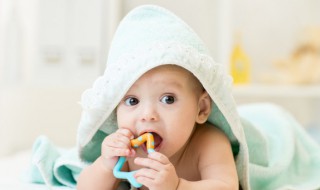 0到3岁如何早教（宝宝0到3岁早教）