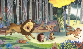 森林里的比赛的故事（森林里的比赛的故事怎么写）