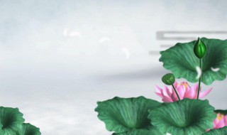 背爱莲说快速记忆技巧 爱莲说快速记忆法
