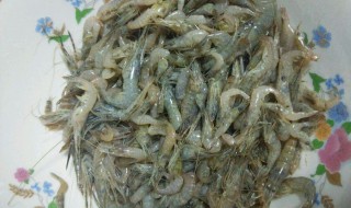 虾干糊怎么做（干虾糊的家常做法）