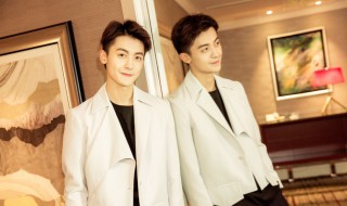 我只喜欢你男二是谁演的（我只喜欢你男主角）