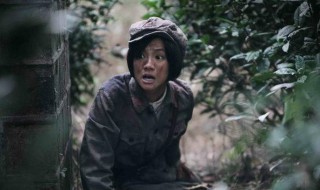 党的女儿的演员（党的女儿演员表全部员表）