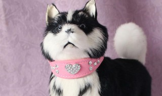 狗项圈怎么做(狗项圈制作教程大全)