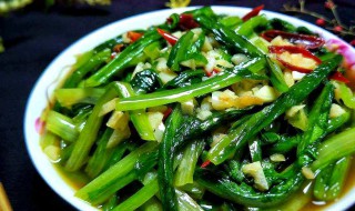 油麦菜怎么做发绿 油麦菜怎么炒绿绿的