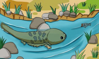 爱笑的妖怪的故事（爱笑的妖怪的故事有哪些）