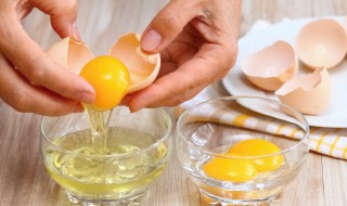 用榨汁机打鸡蛋 榨汁机打鸡蛋清技巧