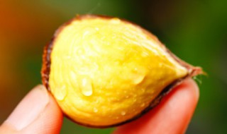 章鱼烧板栗怎么做 章鱼烧板栗怎么做好吃