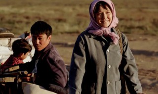 山海情大结局 山海情大结局是什么