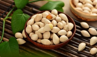 蜜汁炖银杏 蜜汁银杏做法视频