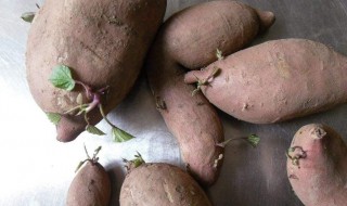 甜橙味泡地瓜 橙子地瓜泥的做法大全