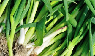 野蒜青蔬烧香菇 青蒜和香菇能一起吃吗