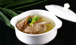 猴头菇乳鸽煲 猴头菇乳鸽汤