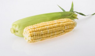 玉米种子冬天怕冻吗(玉米种子冬天放外面可以吗)