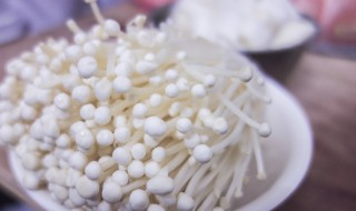 金针菇种植方法和步骤（一亩蘑菇大棚投资多少钱）