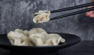 刺五加馅饺子 刺五加馅饺子有什么功效