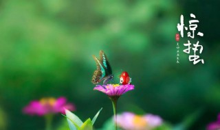 描写惊蛰的诗句（描写惊蛰的诗句古诗苏辙）