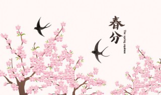 春分文案（医美春分文案）