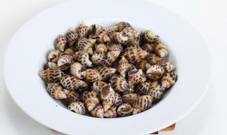 海螺肉炒彩椒 海螺肉炒彩椒的做法