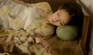 如梦令各人物关系是怎样的（如梦令男主角是谁）