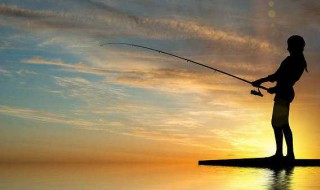 雅罗鱼钓浮还是钓底(钓雅鱼用什么饵最好)