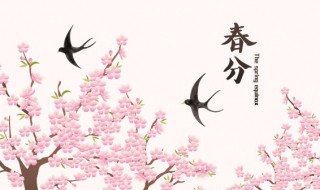 春分节气的含义 春分节气的含义和谚语